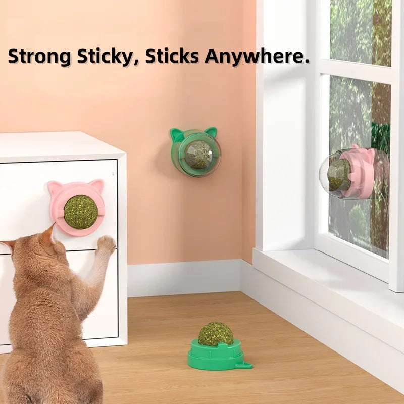Zyvomart Rotatable Catnip Wall Ball Toy with Cat Grass & Scratcher - Teeth Cleaning Snack Ball