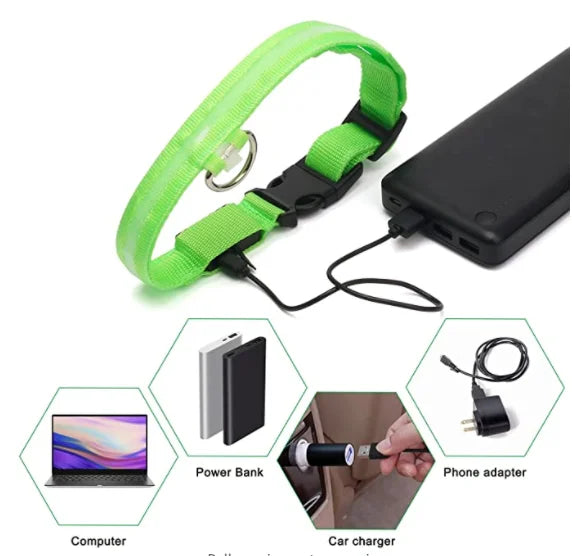 Zyvomart USB Rechargeable Glowing LED Pet Collar - Luxury Detachable Bright Night Safety Light