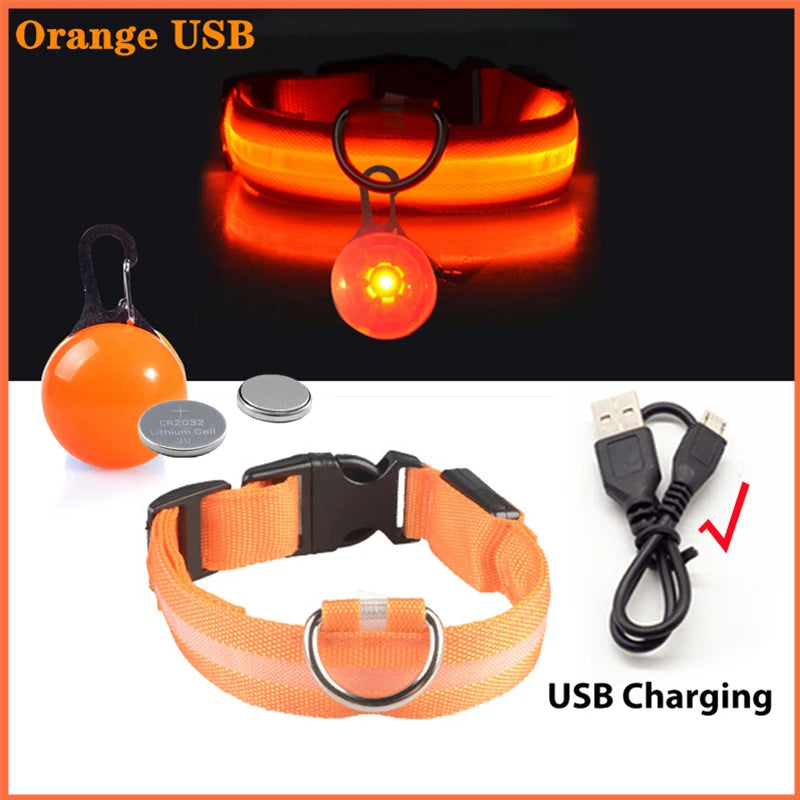 Zyvomart USB Rechargeable Glowing LED Pet Collar - Luxury Detachable Bright Night Safety Light
