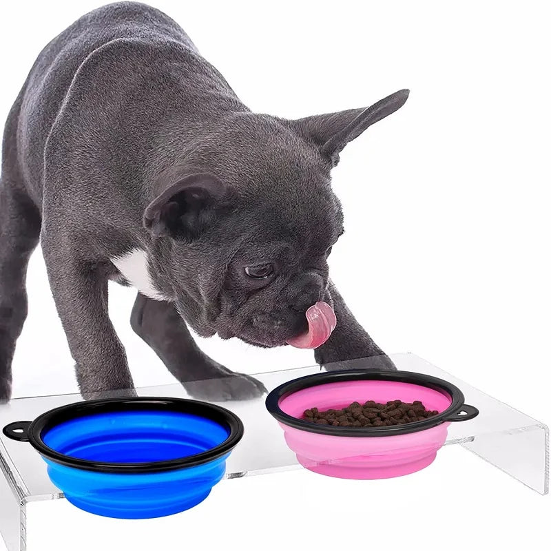 Zyvomart 2-in-1 Folding Portable Silicone Pet Feeder Bowl & Outdoor Travel Water Bottle