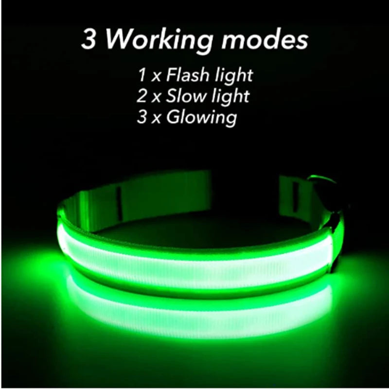 Zyvomart USB Rechargeable Glowing LED Pet Collar - Luxury Detachable Bright Night Safety Light