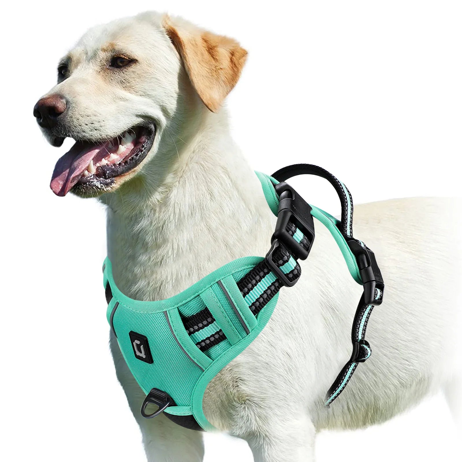 Zyvomart No Pull Adjustable Soft Padded Dog Harness Vest with Control Handle