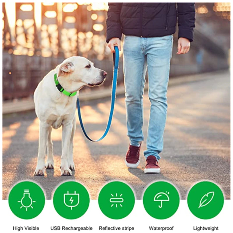 Zyvomart USB Rechargeable Glowing LED Pet Collar - Luxury Detachable Bright Night Safety Light