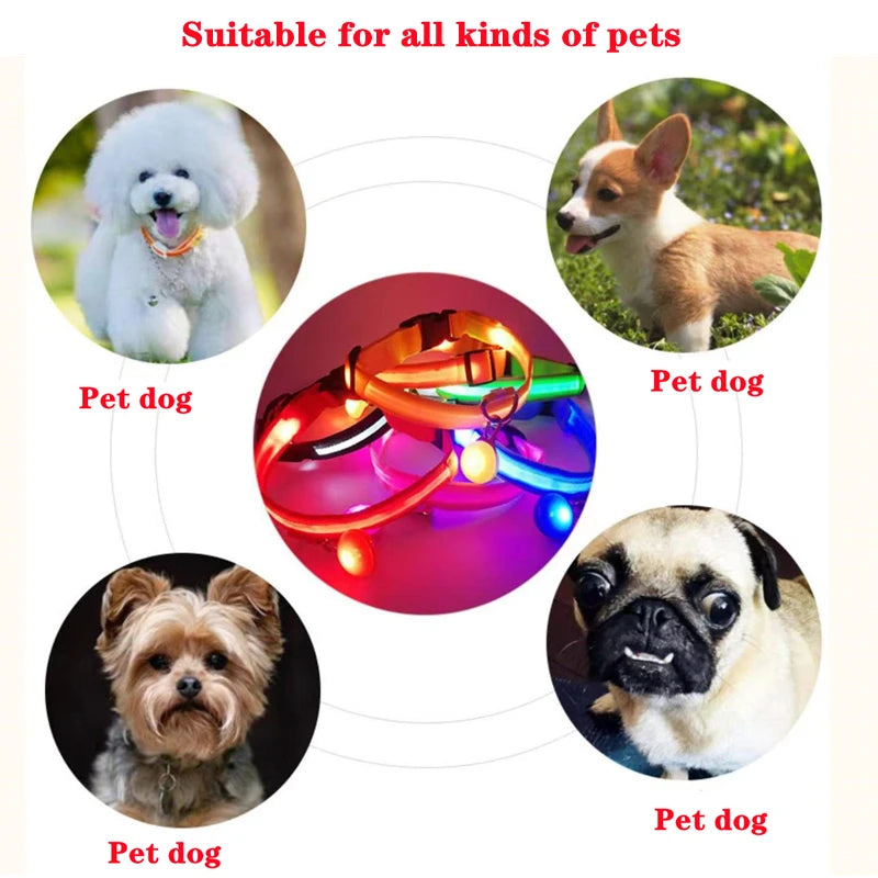 Zyvomart USB Rechargeable Glowing LED Pet Collar - Luxury Detachable Bright Night Safety Light