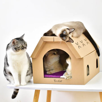 Zyvomart Indoor Cardboard Cat Scratcher Lounge & Paper Cat House with Scratch Pads