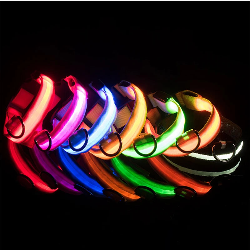 Zyvomart USB Rechargeable Glowing LED Pet Collar - Luxury Detachable Bright Night Safety Light