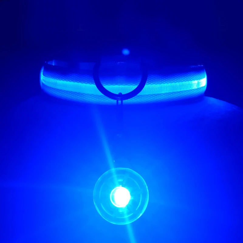 Zyvomart USB Rechargeable Glowing LED Pet Collar - Luxury Detachable Bright Night Safety Light