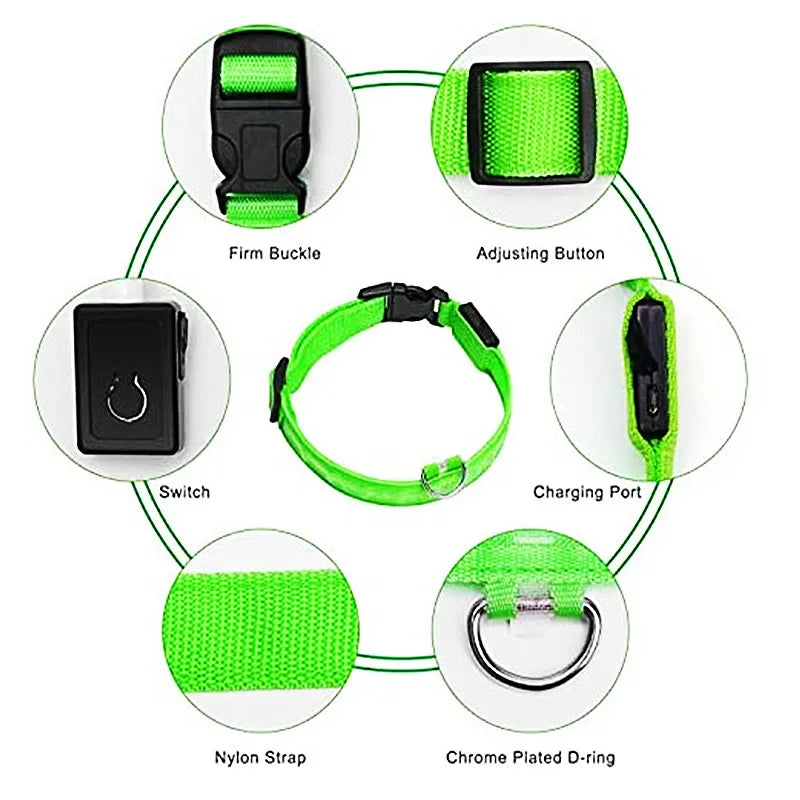 Zyvomart USB Rechargeable Glowing LED Pet Collar - Luxury Detachable Bright Night Safety Light