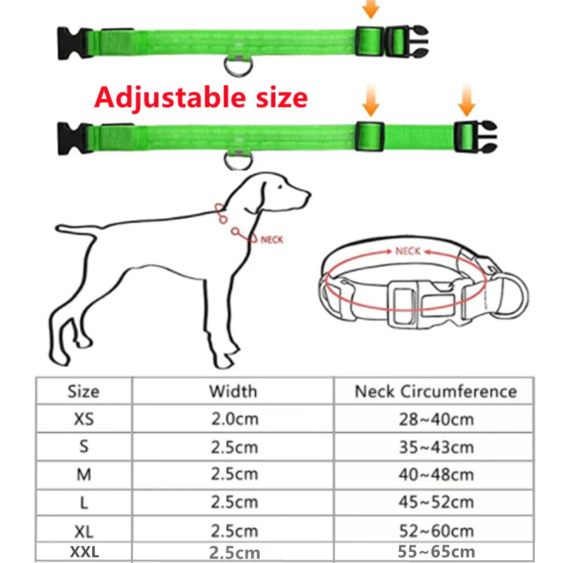Zyvomart USB Rechargeable Glowing LED Pet Collar - Luxury Detachable Bright Night Safety Light