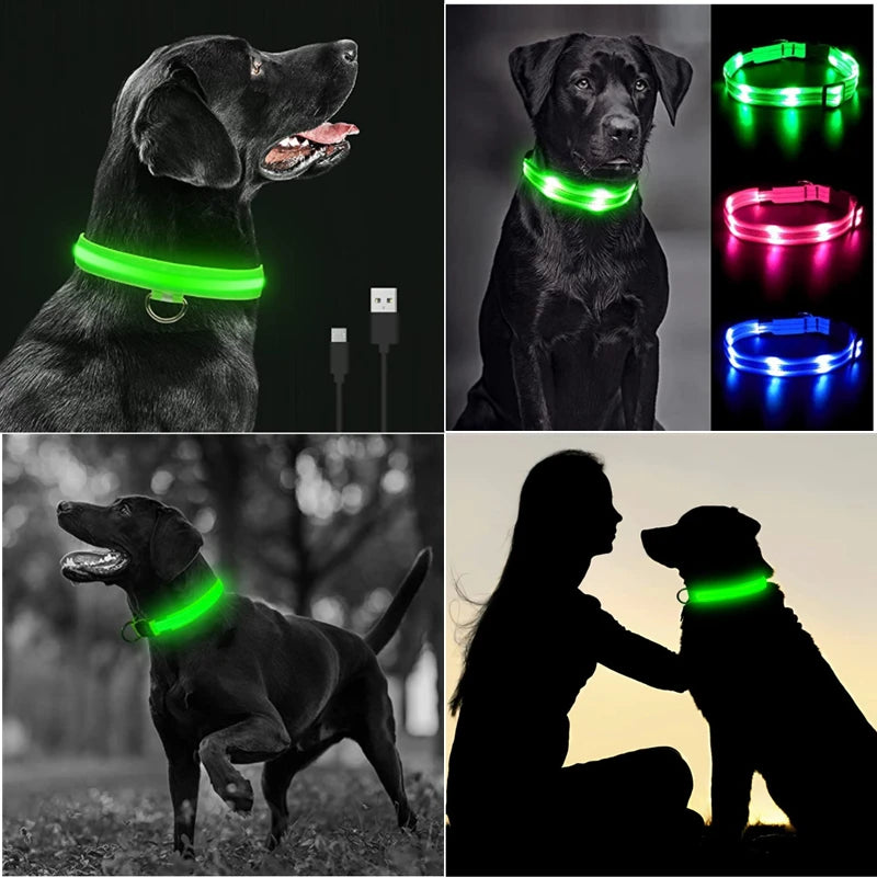 Zyvomart USB Rechargeable Glowing LED Pet Collar - Luxury Detachable Bright Night Safety Light