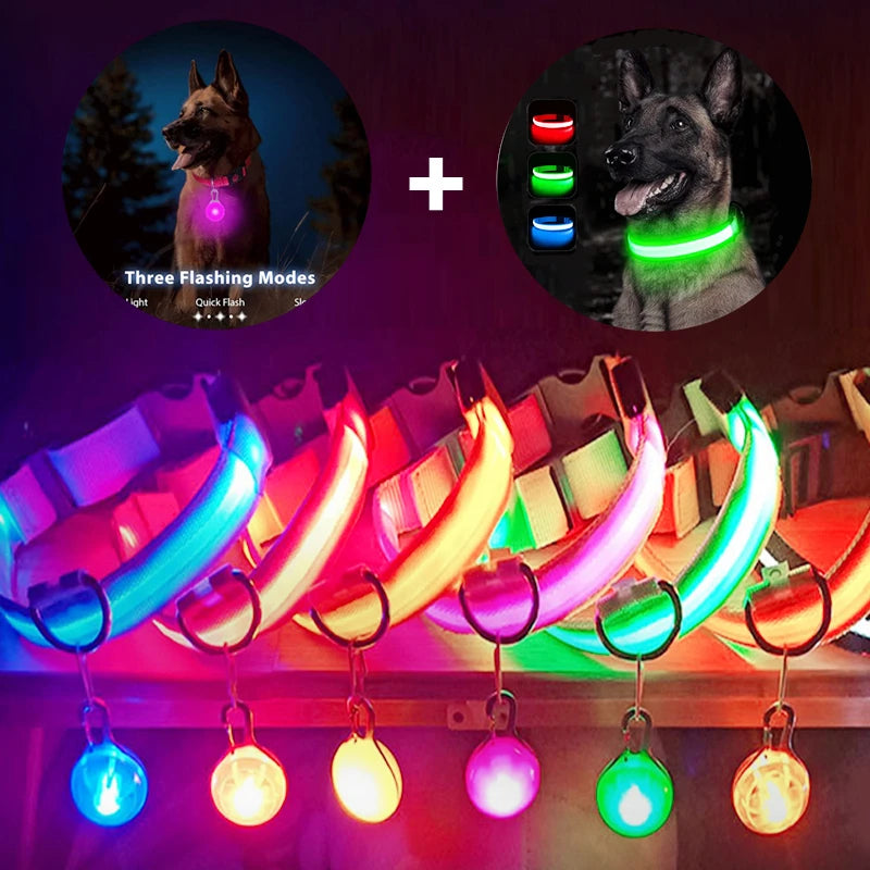 Zyvomart USB Rechargeable Glowing LED Pet Collar - Luxury Detachable Bright Night Safety Light