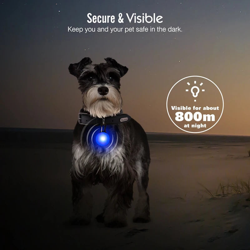 Zyvomart USB Rechargeable Glowing LED Pet Collar - Luxury Detachable Bright Night Safety Light