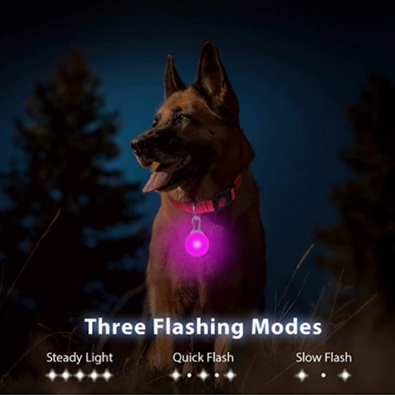 Zyvomart USB Rechargeable Glowing LED Pet Collar - Luxury Detachable Bright Night Safety Light