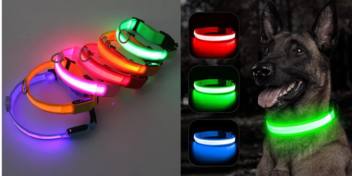 Zyvomart USB Rechargeable Glowing LED Pet Collar - Luxury Detachable Bright Night Safety Light