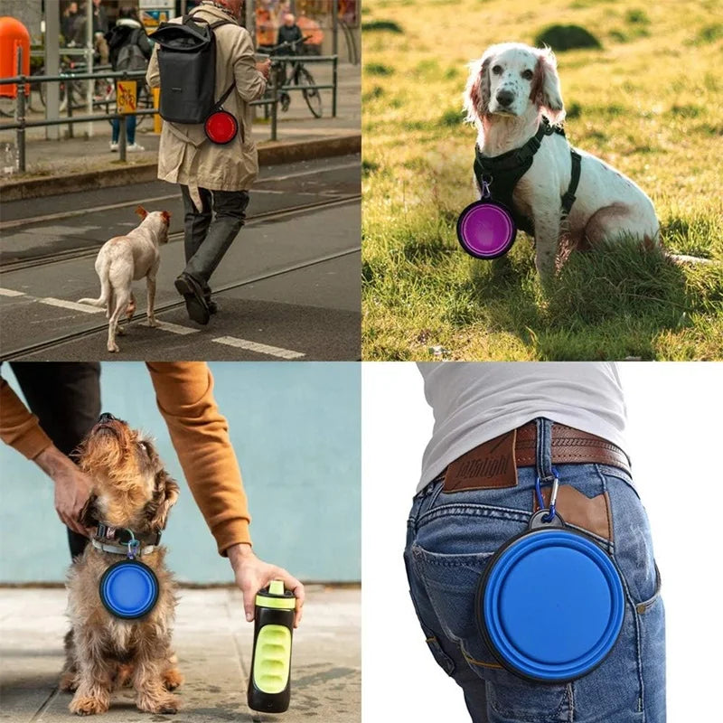 Zyvomart 2-in-1 Folding Portable Silicone Pet Feeder Bowl & Outdoor Travel Water Bottle
