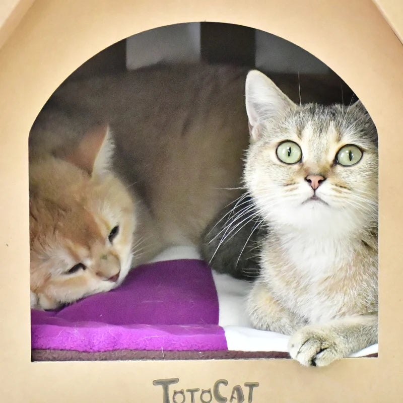 Zyvomart Indoor Cardboard Cat Scratcher Lounge & Paper Cat House with Scratch Pads