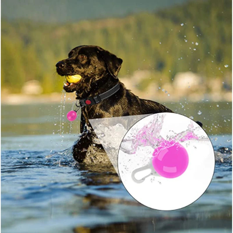 Zyvomart USB Rechargeable Glowing LED Pet Collar - Luxury Detachable Bright Night Safety Light