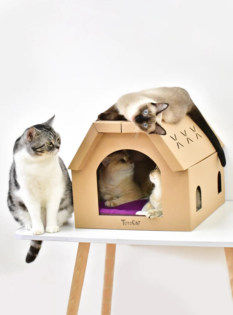 Zyvomart Indoor Cardboard Cat Scratcher Lounge & Paper Cat House with Scratch Pads