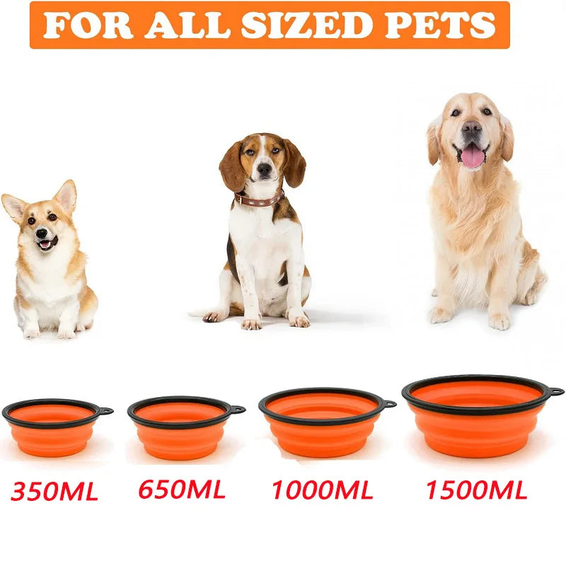 Zyvomart 2-in-1 Folding Portable Silicone Pet Feeder Bowl & Outdoor Travel Water Bottle