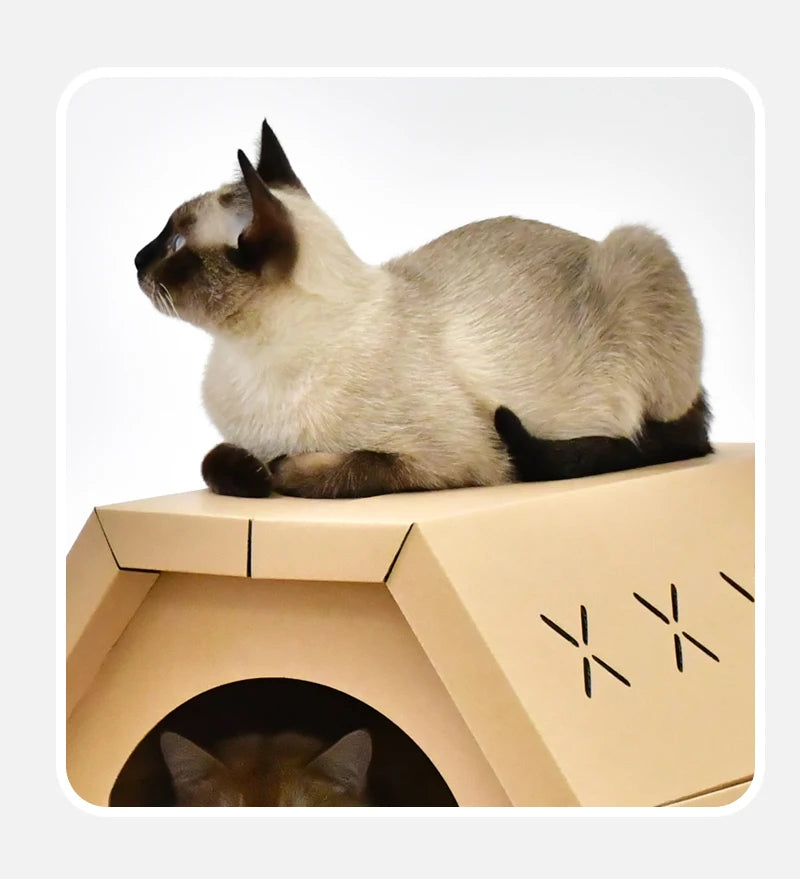 Zyvomart Indoor Cardboard Cat Scratcher Lounge & Paper Cat House with Scratch Pads