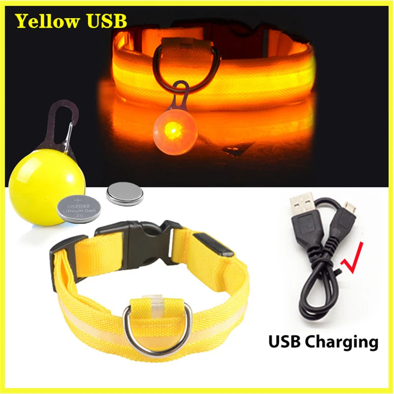 Zyvomart USB Rechargeable Glowing LED Pet Collar - Luxury Detachable Bright Night Safety Light