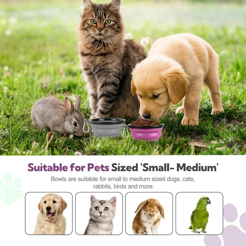Zyvomart 2-in-1 Folding Portable Silicone Pet Feeder Bowl & Outdoor Travel Water Bottle