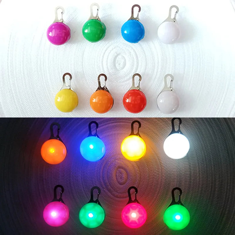 Zyvomart USB Rechargeable Glowing LED Pet Collar - Luxury Detachable Bright Night Safety Light