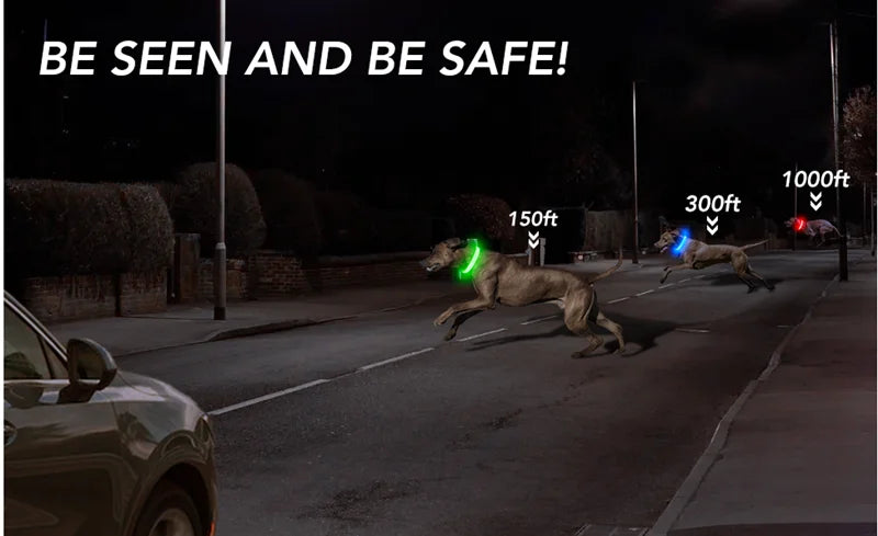 Zyvomart USB Rechargeable Glowing LED Pet Collar - Luxury Detachable Bright Night Safety Light