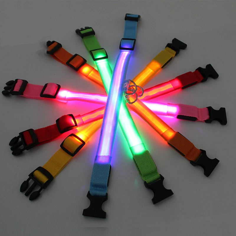 Zyvomart USB Rechargeable Glowing LED Pet Collar - Luxury Detachable Bright Night Safety Light