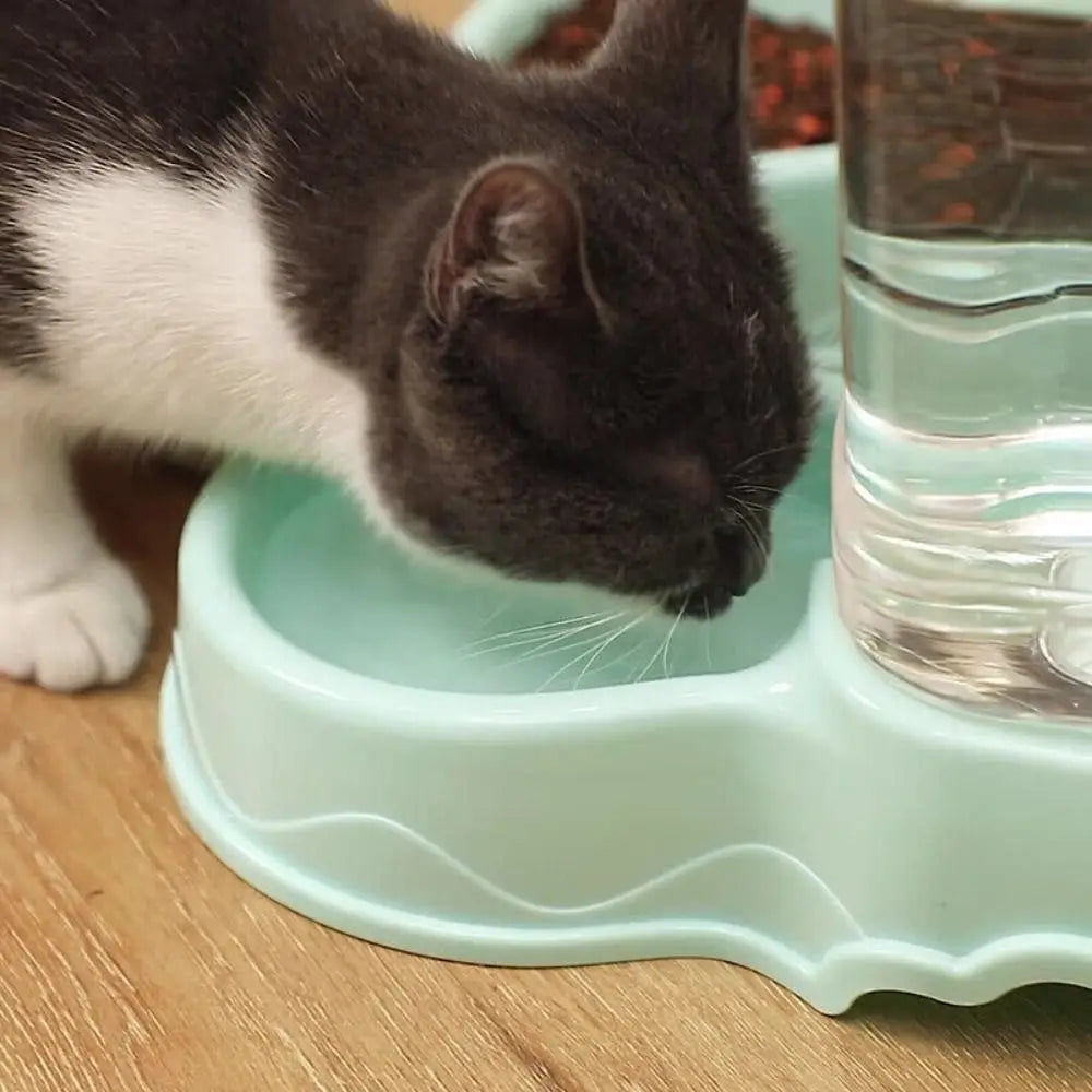 Zyvomart 3.8L Automatic Pet Feeder & Water Fountain Dispenser Bowl for Cats & Dogs