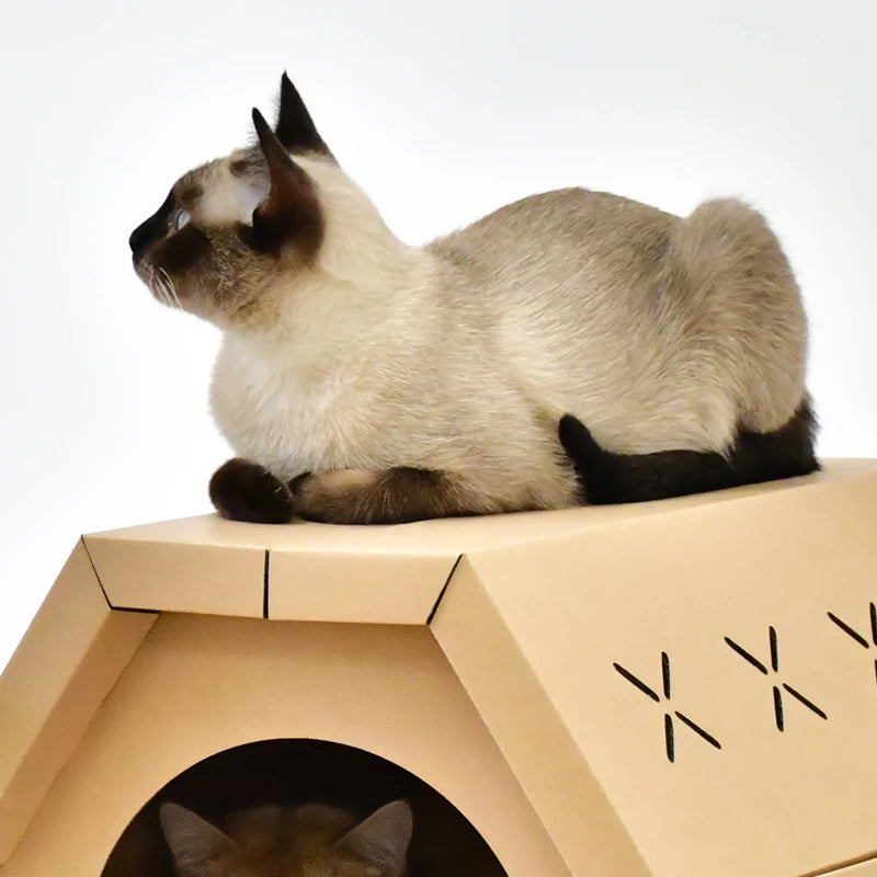 Zyvomart Indoor Cardboard Cat Scratcher Lounge & Paper Cat House with Scratch Pads