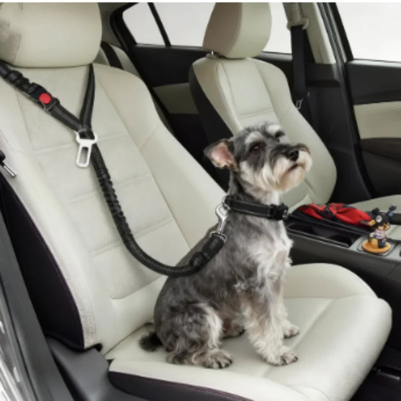 Zyvomart 2-in-1 Solid Dog Harness Leash & Adjustable Pet Car Backseat Safety Belt