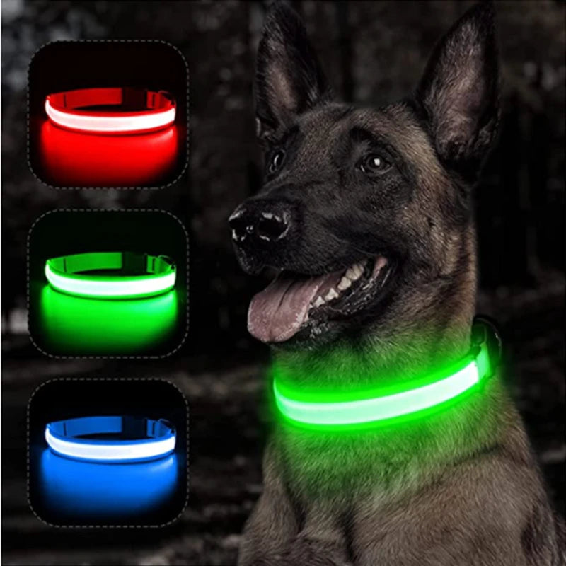 Zyvomart USB Rechargeable Glowing LED Pet Collar - Luxury Detachable Bright Night Safety Light
