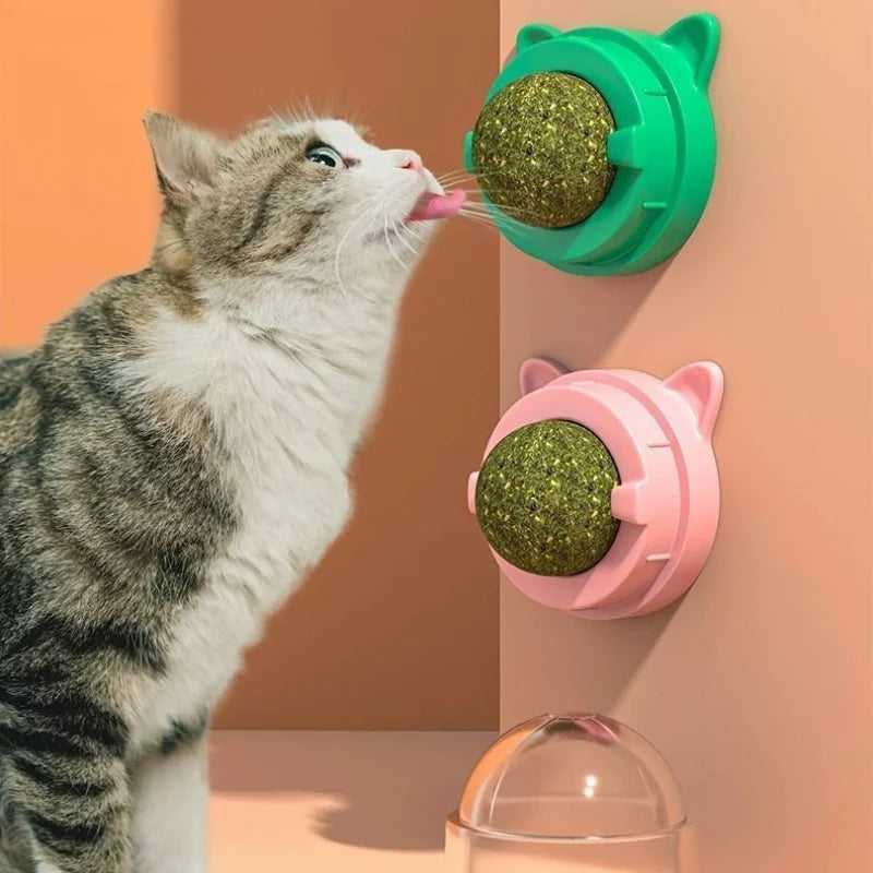 Zyvomart Rotatable Catnip Wall Ball Toy with Cat Grass & Scratcher - Teeth Cleaning Snack Ball