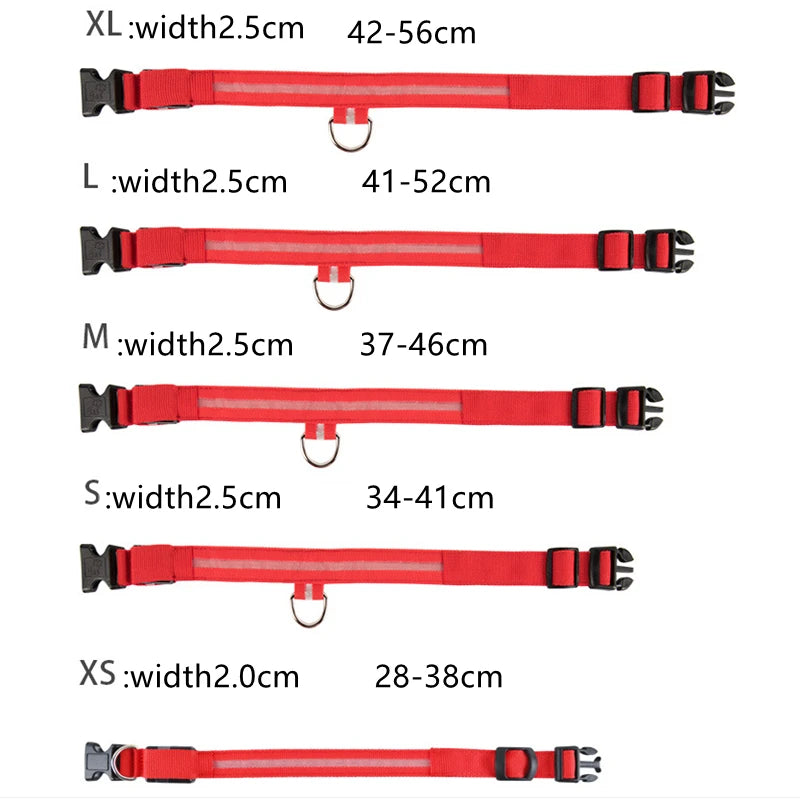 Zyvomart USB Rechargeable Glowing LED Pet Collar - Luxury Detachable Bright Night Safety Light