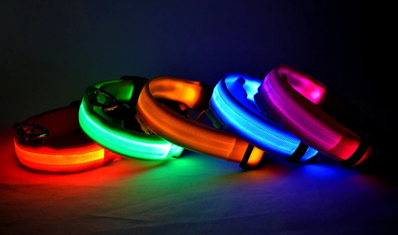 Zyvomart USB Rechargeable Glowing LED Pet Collar - Luxury Detachable Bright Night Safety Light