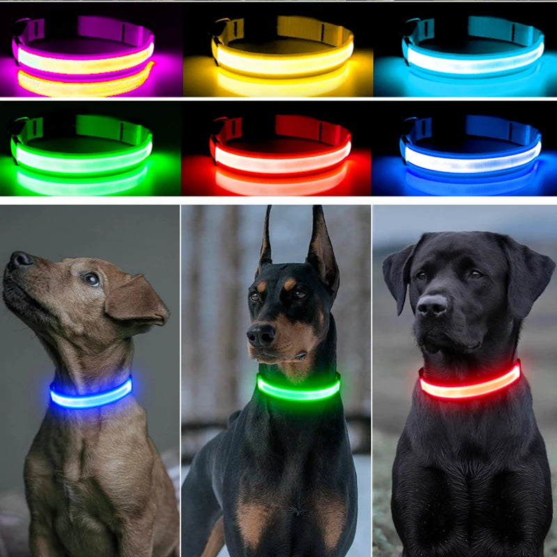 Zyvomart USB Rechargeable Glowing LED Pet Collar - Luxury Detachable Bright Night Safety Light