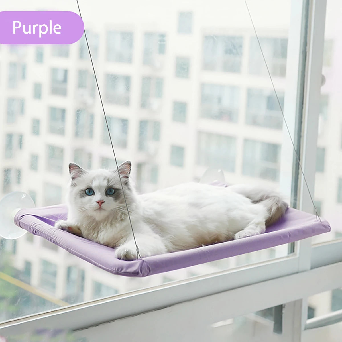 Zyvomart 20KG Heavy-Duty Hanging Cat Hammock - Comfortable Sunny Window Seat Mount Bed