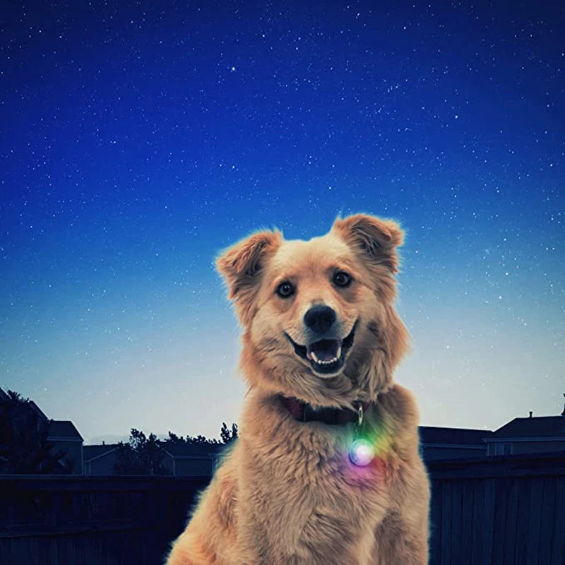 Zyvomart USB Rechargeable Glowing LED Pet Collar - Luxury Detachable Bright Night Safety Light