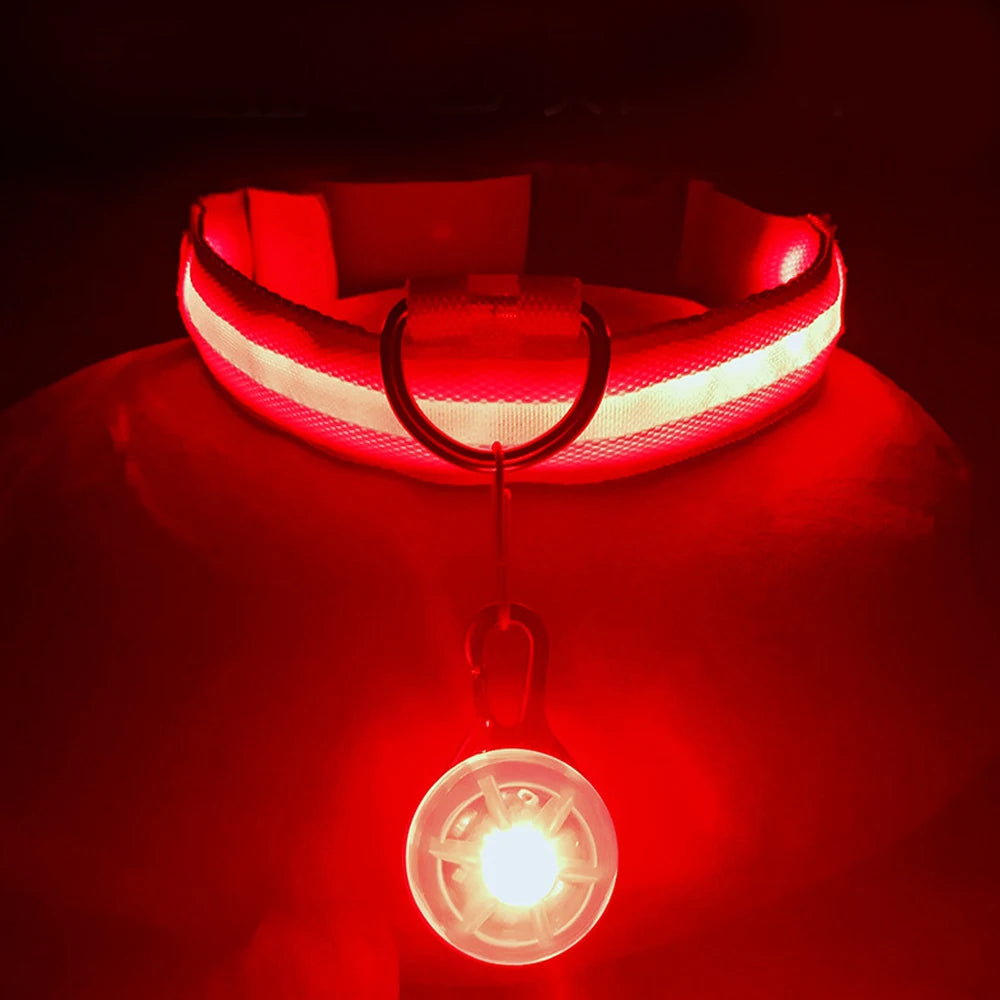 Zyvomart USB Rechargeable Glowing LED Pet Collar - Luxury Detachable Bright Night Safety Light