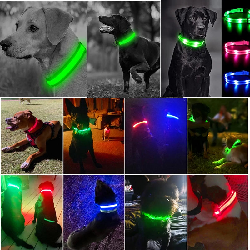 Zyvomart USB Rechargeable Glowing LED Pet Collar - Luxury Detachable Bright Night Safety Light