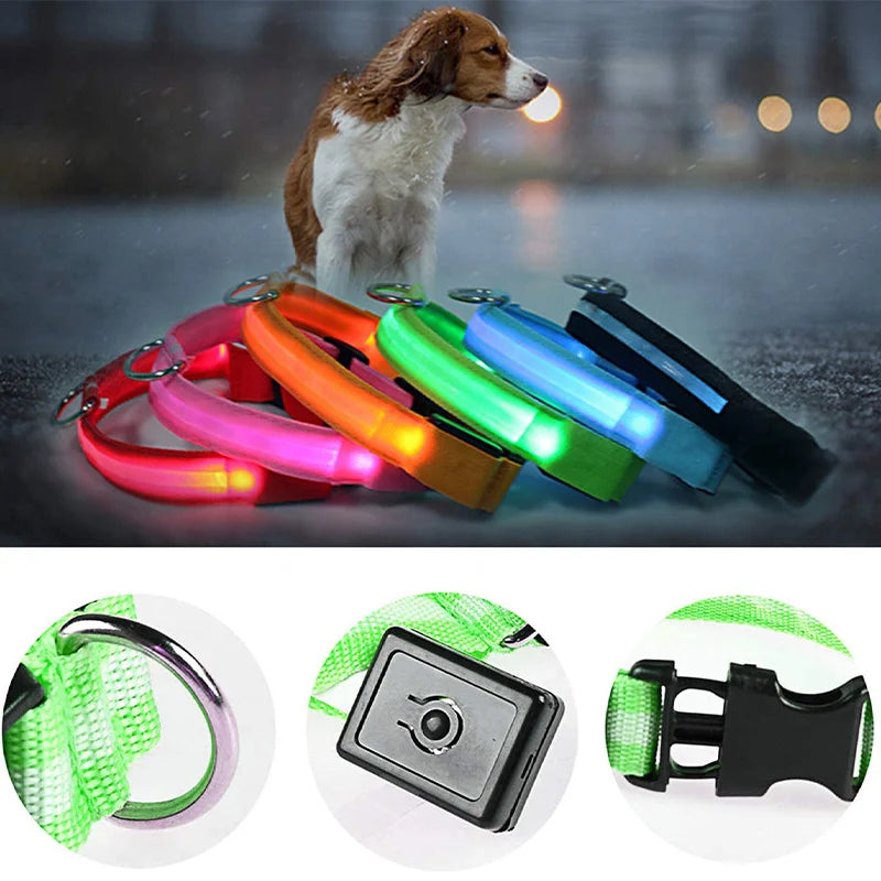 Zyvomart USB Rechargeable Glowing LED Pet Collar - Luxury Detachable Bright Night Safety Light