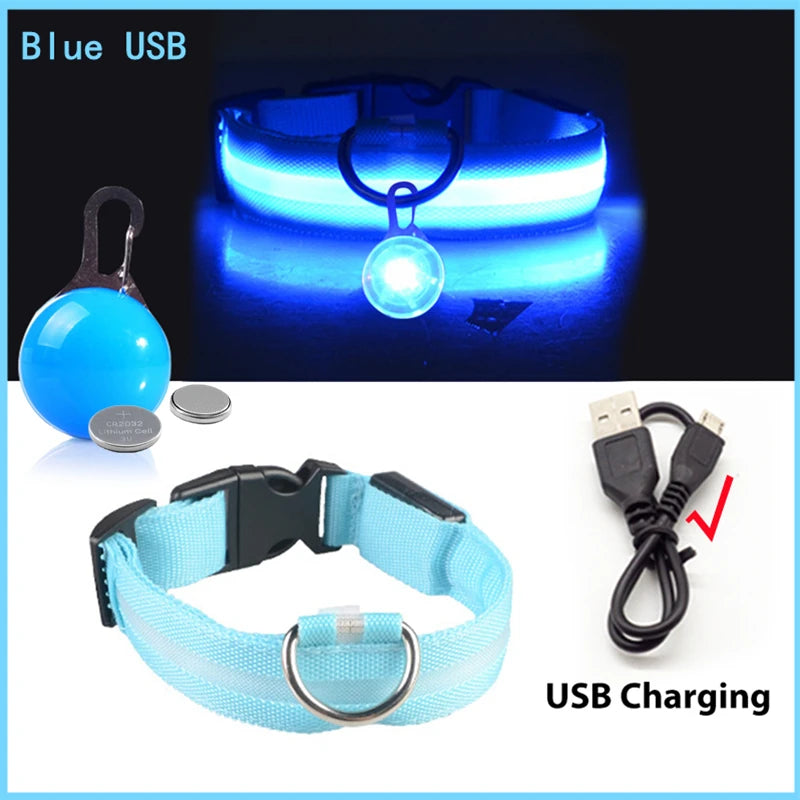 Zyvomart USB Rechargeable Glowing LED Pet Collar - Luxury Detachable Bright Night Safety Light