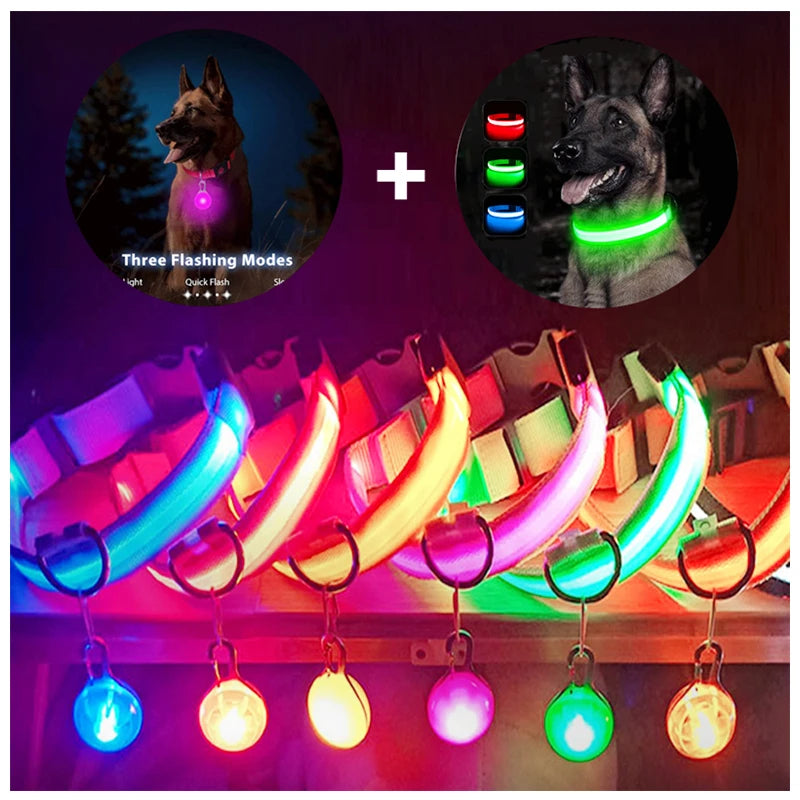 Zyvomart USB Rechargeable Glowing LED Pet Collar - Luxury Detachable Bright Night Safety Light