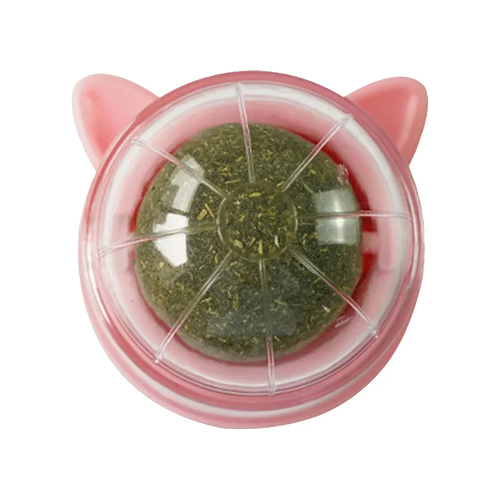 Zyvomart Rotatable Catnip Wall Ball Toy with Cat Grass & Scratcher - Teeth Cleaning Snack Ball