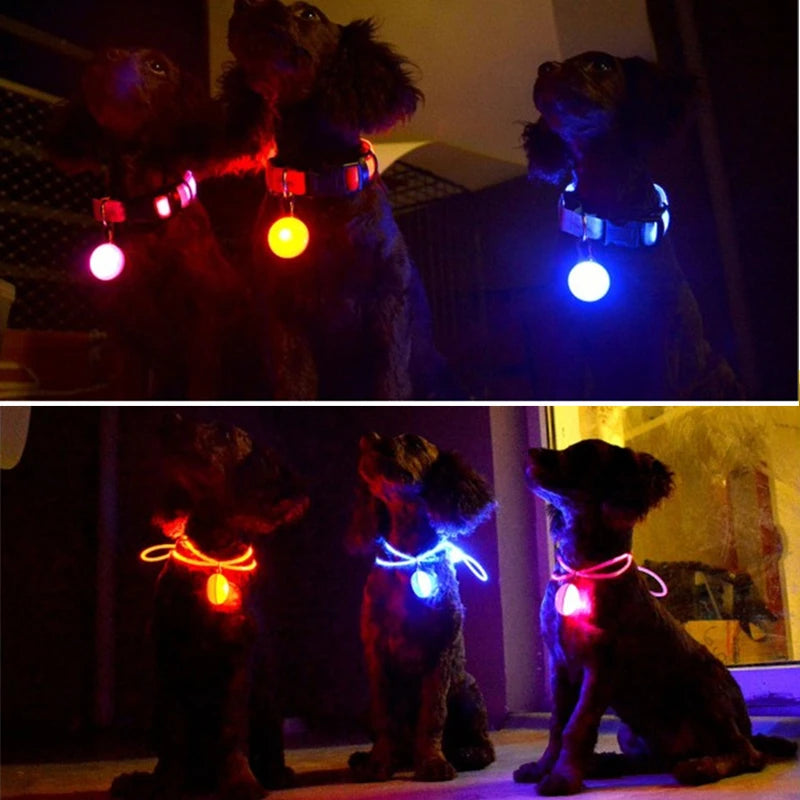 Zyvomart USB Rechargeable Glowing LED Pet Collar - Luxury Detachable Bright Night Safety Light