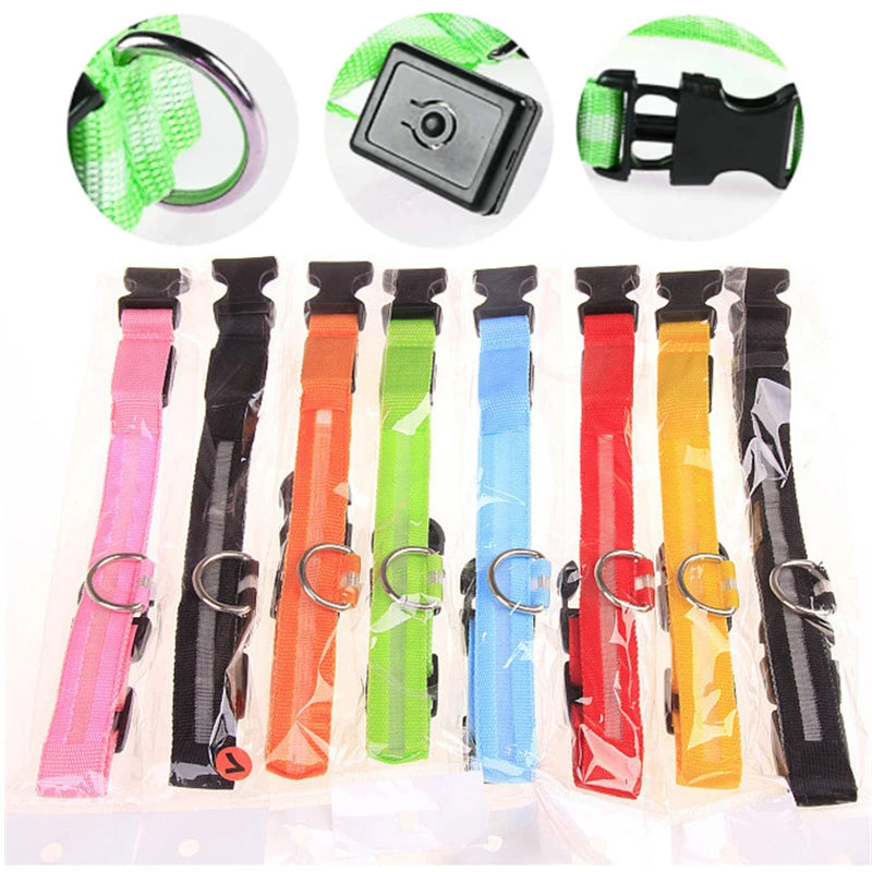 Zyvomart USB Rechargeable Glowing LED Pet Collar - Luxury Detachable Bright Night Safety Light