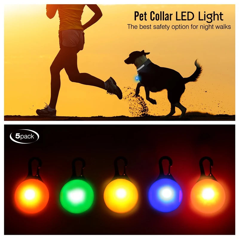 Zyvomart USB Rechargeable Glowing LED Pet Collar - Luxury Detachable Bright Night Safety Light
