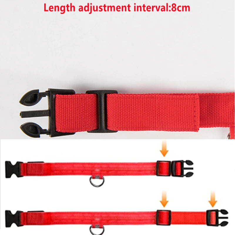 Zyvomart USB Rechargeable Glowing LED Pet Collar - Luxury Detachable Bright Night Safety Light