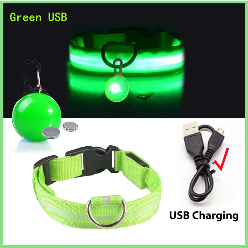 Zyvomart USB Rechargeable Glowing LED Pet Collar - Luxury Detachable Bright Night Safety Light